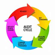 Clinical Audit Reports 