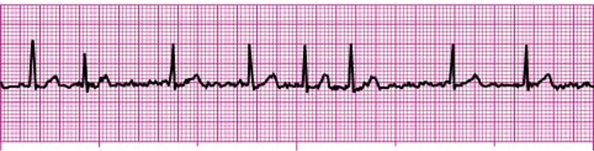 Continuous Professional Development Sessions 2025-26